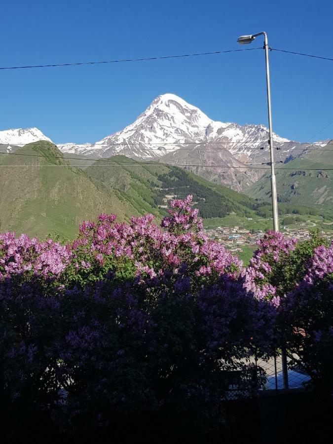 Hilltop Kazbegi 외부 사진